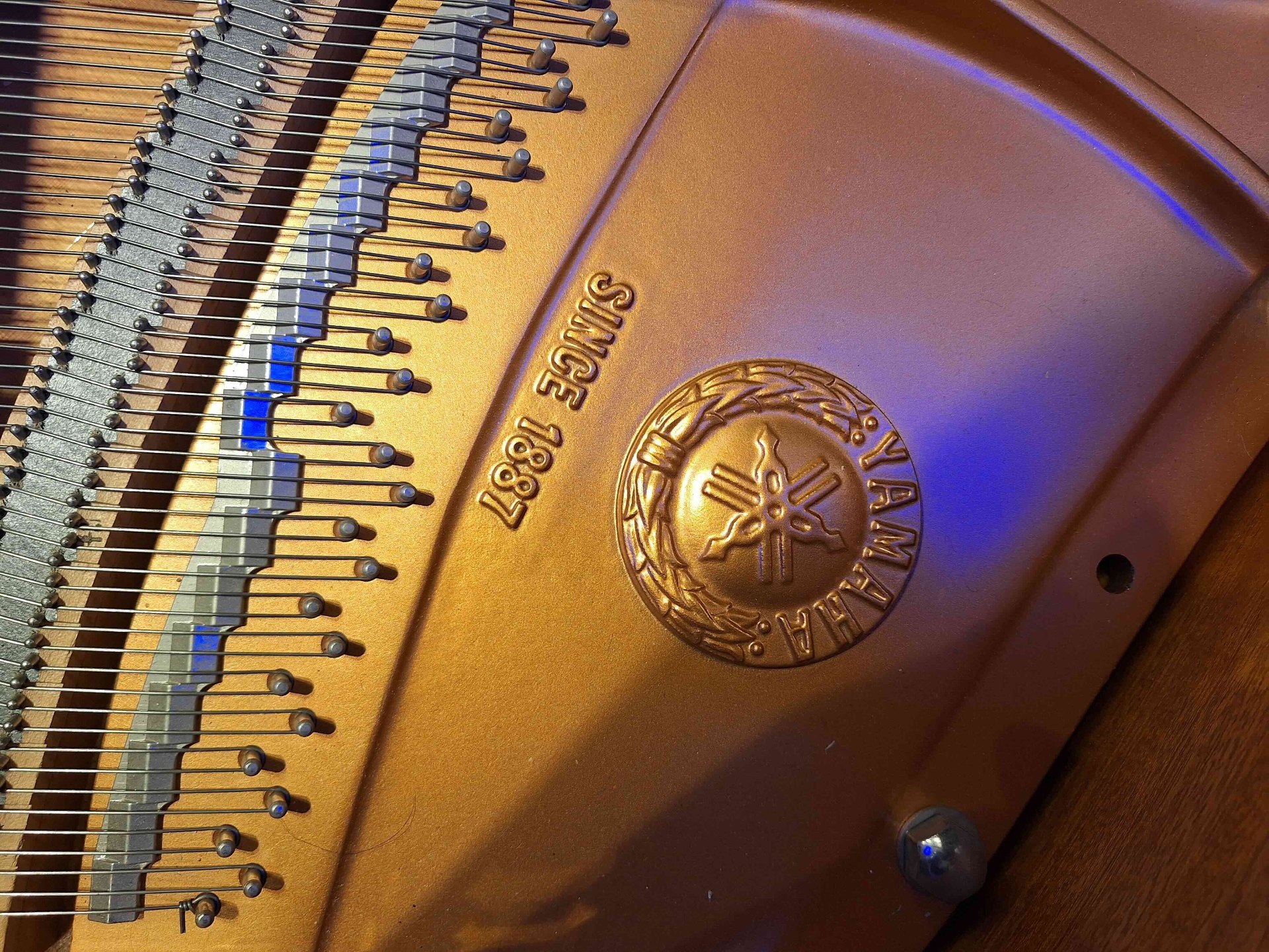 Yamaha C2 vleugel in de studio